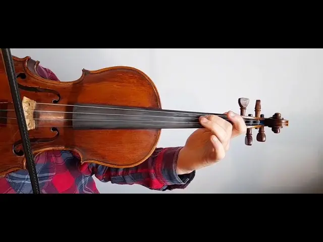 Árbol Violín: Donde se forja la música - Qué significado tiene el árbol de la vida árbol violín yo nació - Qué significado tiene el árbol de la vida