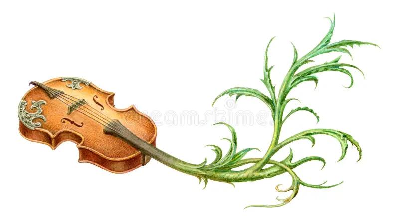 Cuento de 019872zjspixorla flor y el violín019872zjspixor - Qué tipo de cuento es la flor y por qué cuento la flor y el violín - Qué tipo de cuento es la flor y por qué
