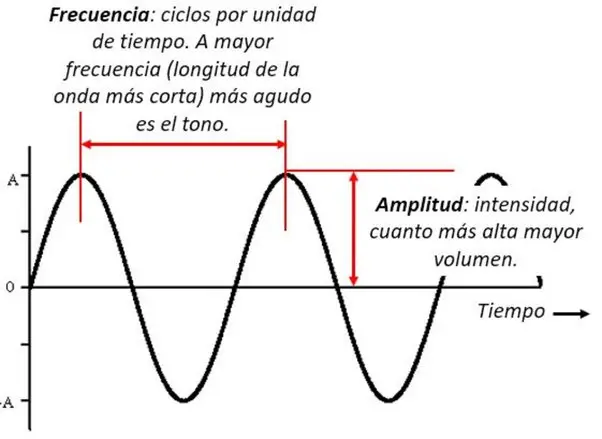 forma de onda violin muestreado - Qué tipo de ondas emite un violín