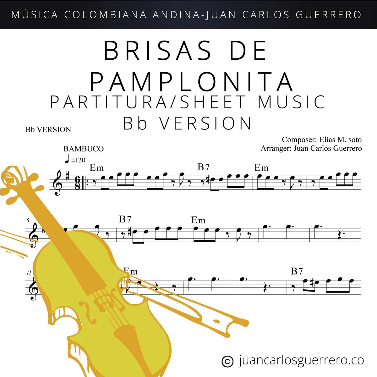 brisas del pamplonita en violin - Quién compuso Brisas del Pamplonita