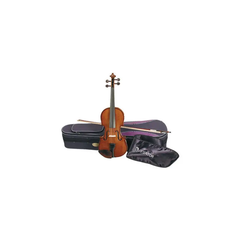 arco de violin con cerdas rotas - Se puede arreglar un arco de violín roto