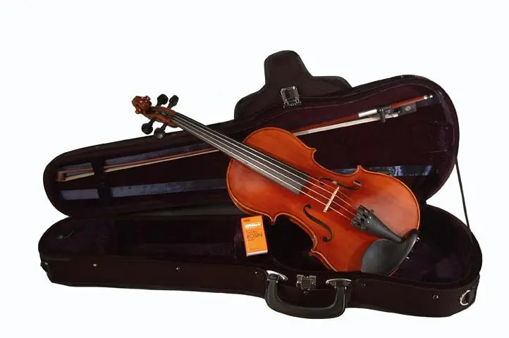 renting violins - Should I rent an instrument