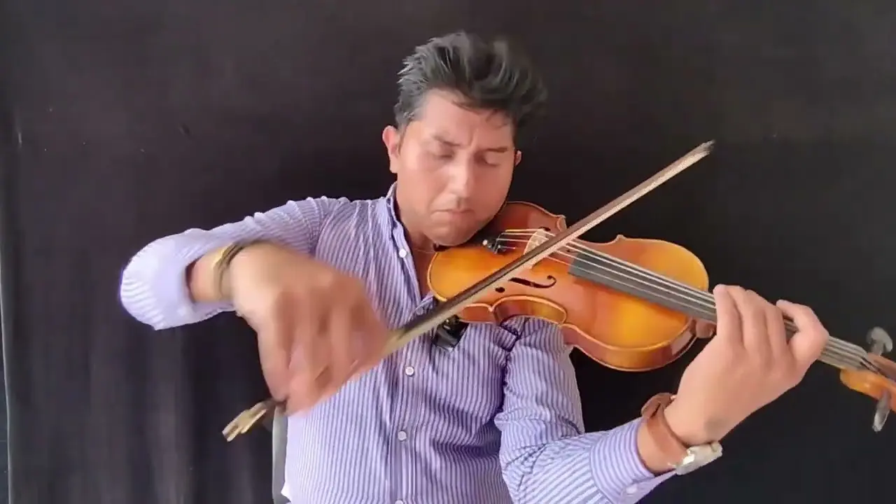 prueba de audicion violin - Tocar el violín te deja sordo