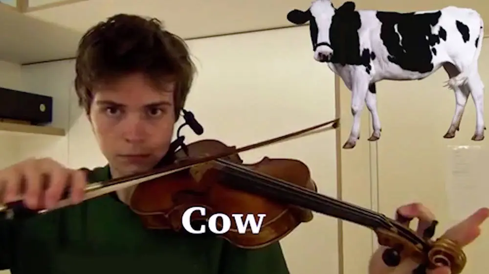 animals sounds on violin - What animal sounds like a violin