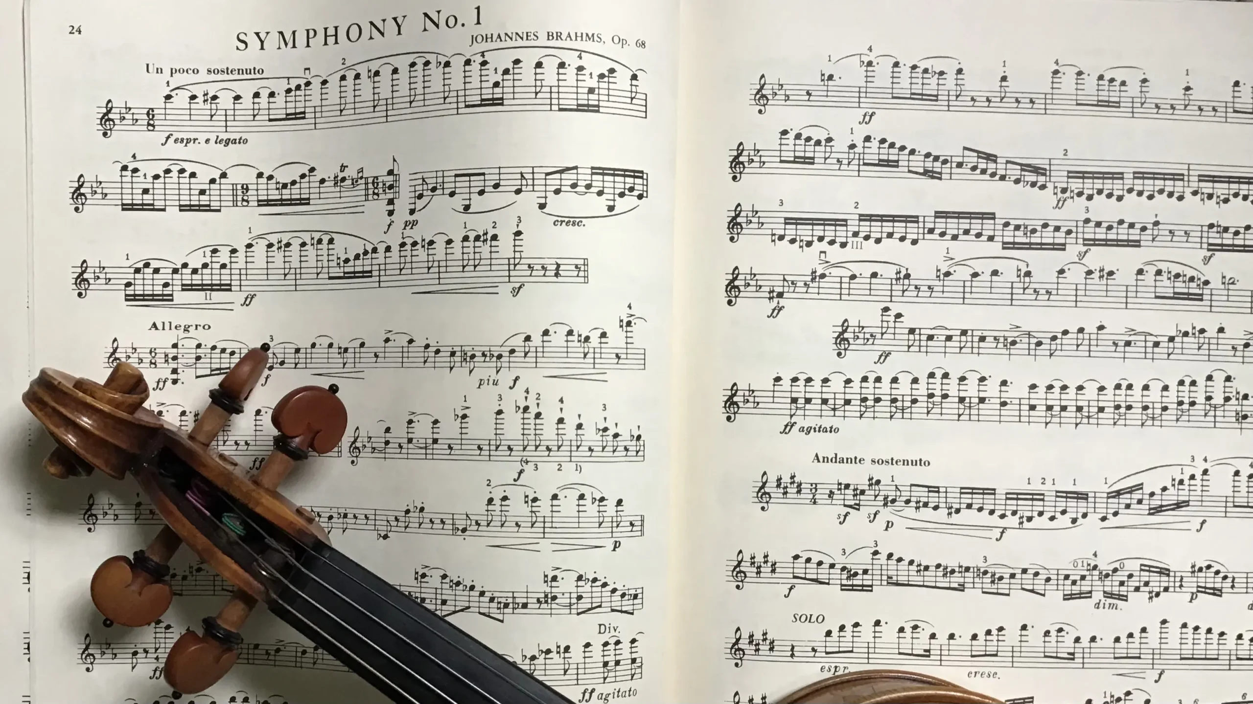 audiitions violin - What do orchestra auditions look for