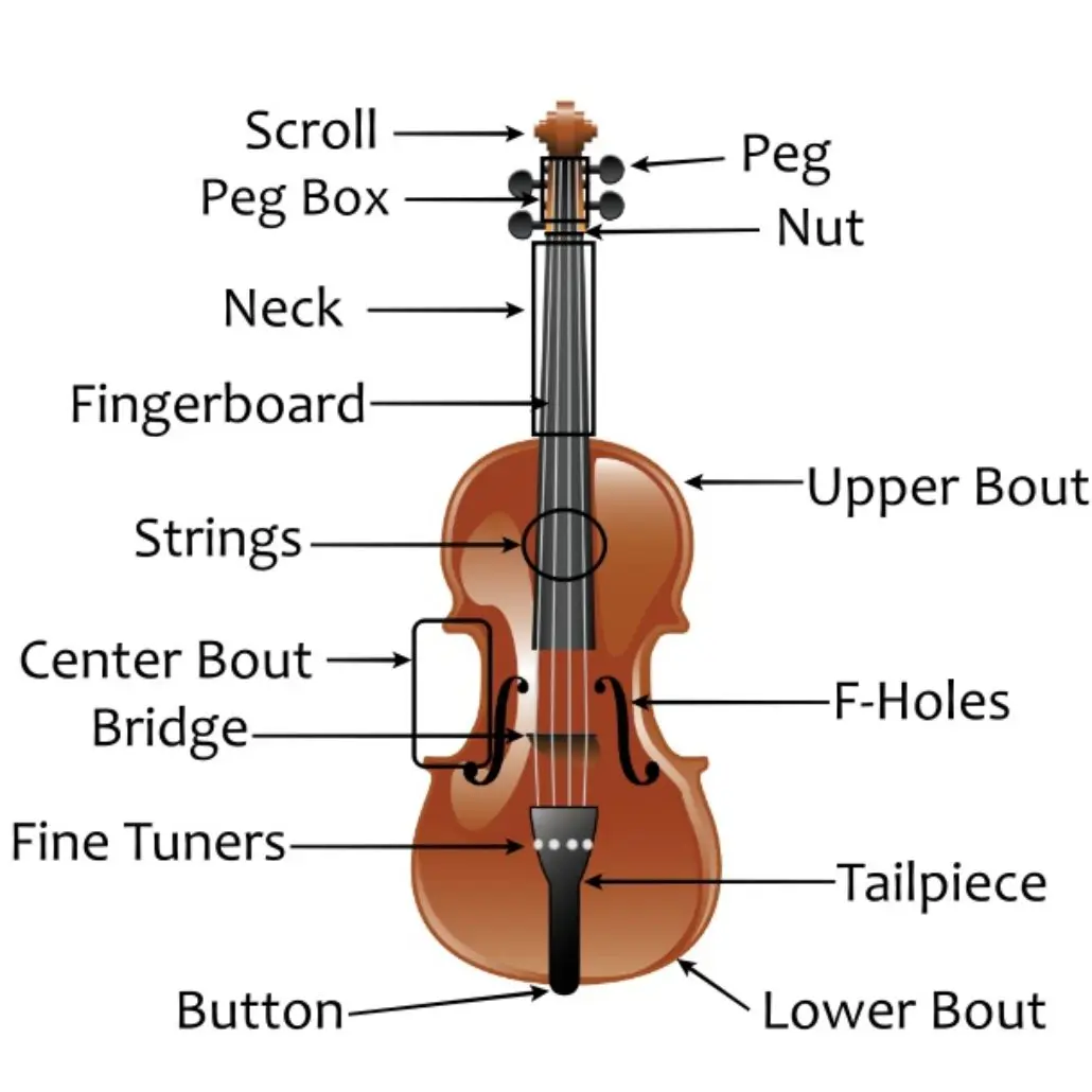 does the string of violin resonate with bow - What effect does using a bow have on a stringed instrument