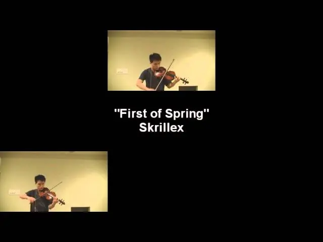 Skrillex Rock and Roll Electric Violin: Una mezcla de géneros explosiva - What genre is Skrillex skrillex rock and roll electric violin - What genre is Skrillex