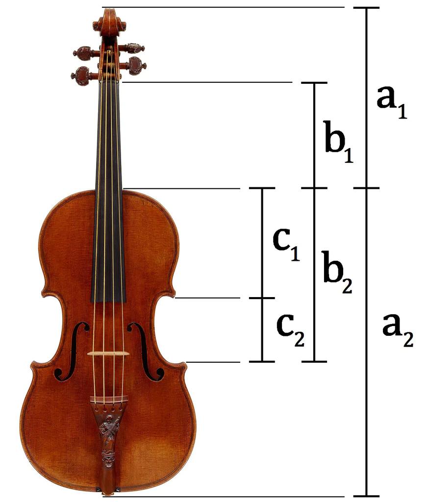 fibonacci violin - What grade is Fibonacci taught