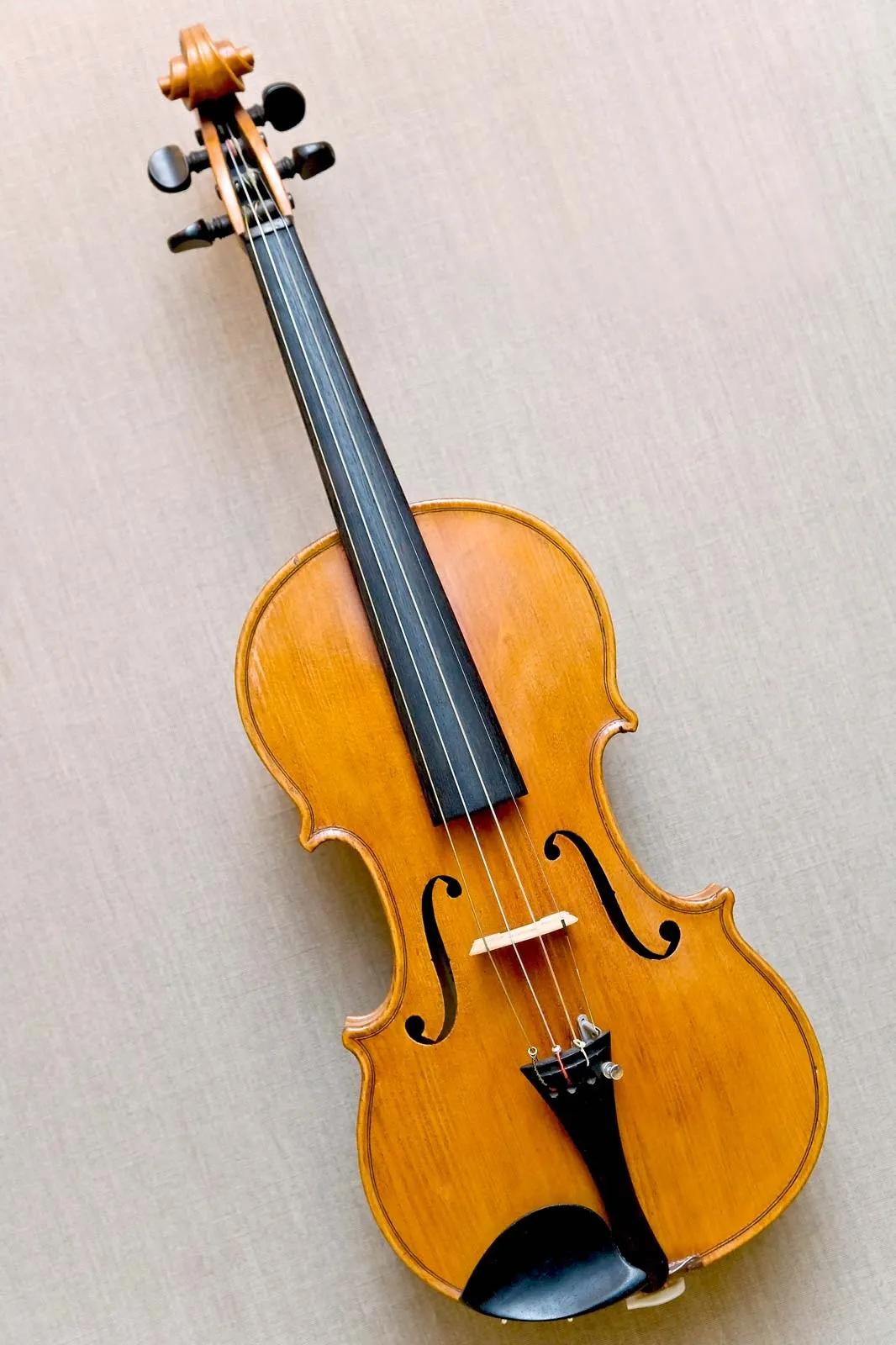 a violin is an example of a string instrument - What is an example of string instrument
