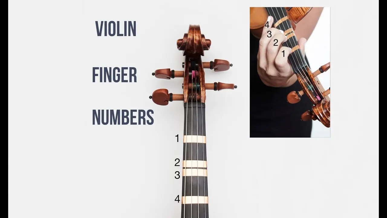 El numeral en el violín sobre cómo leer partituras de violín - What is the alphabet on the violin numeral en violin - What is the alphabet on the violin
