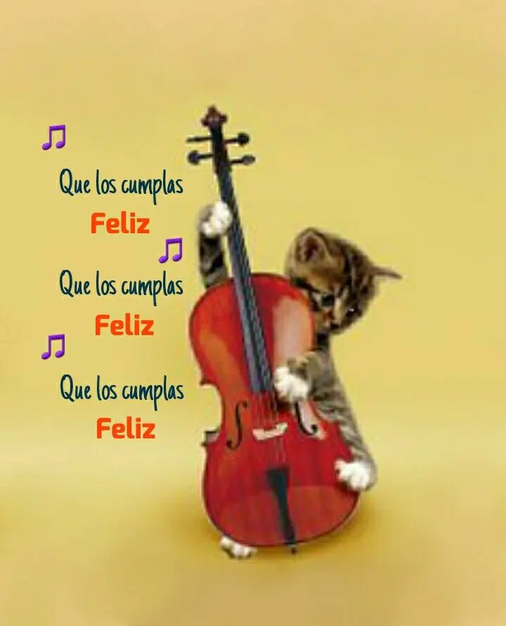 feliz cump le violin - What is the difference between cumple and cumpleaños