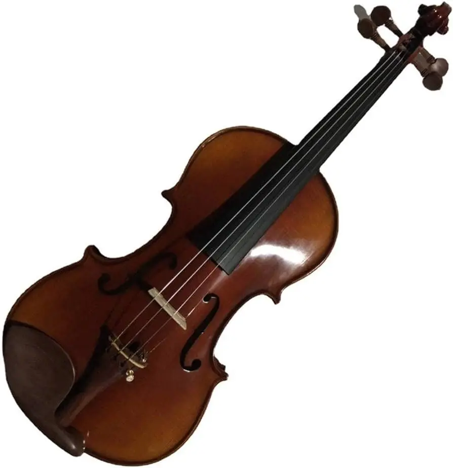 violin for intermediate students - What is the difference between student and intermediate violin