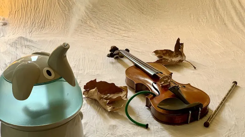 what humidity should a violin be kept at - What is the ideal temperature and humidity for a violin
