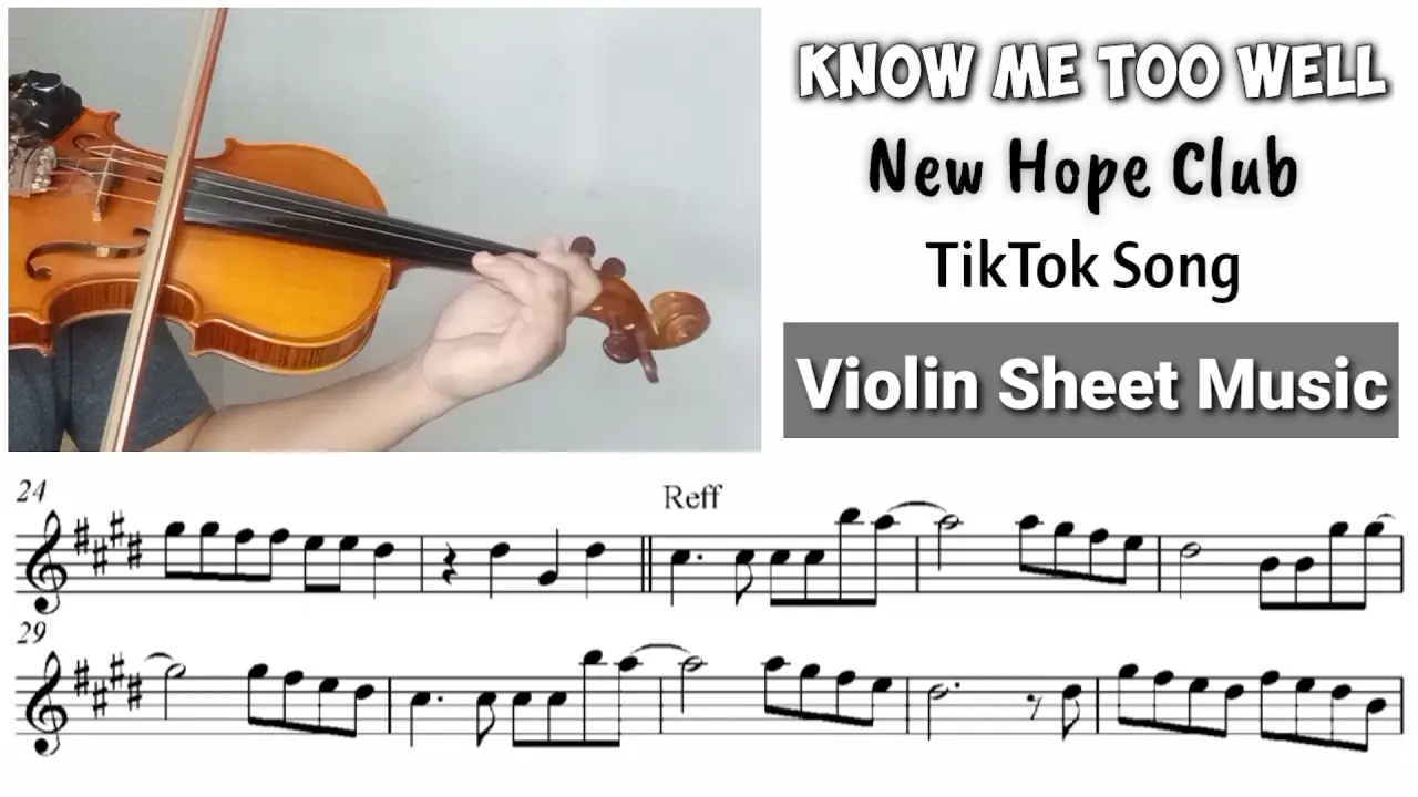 me too violin - What is the meaning of the song me too