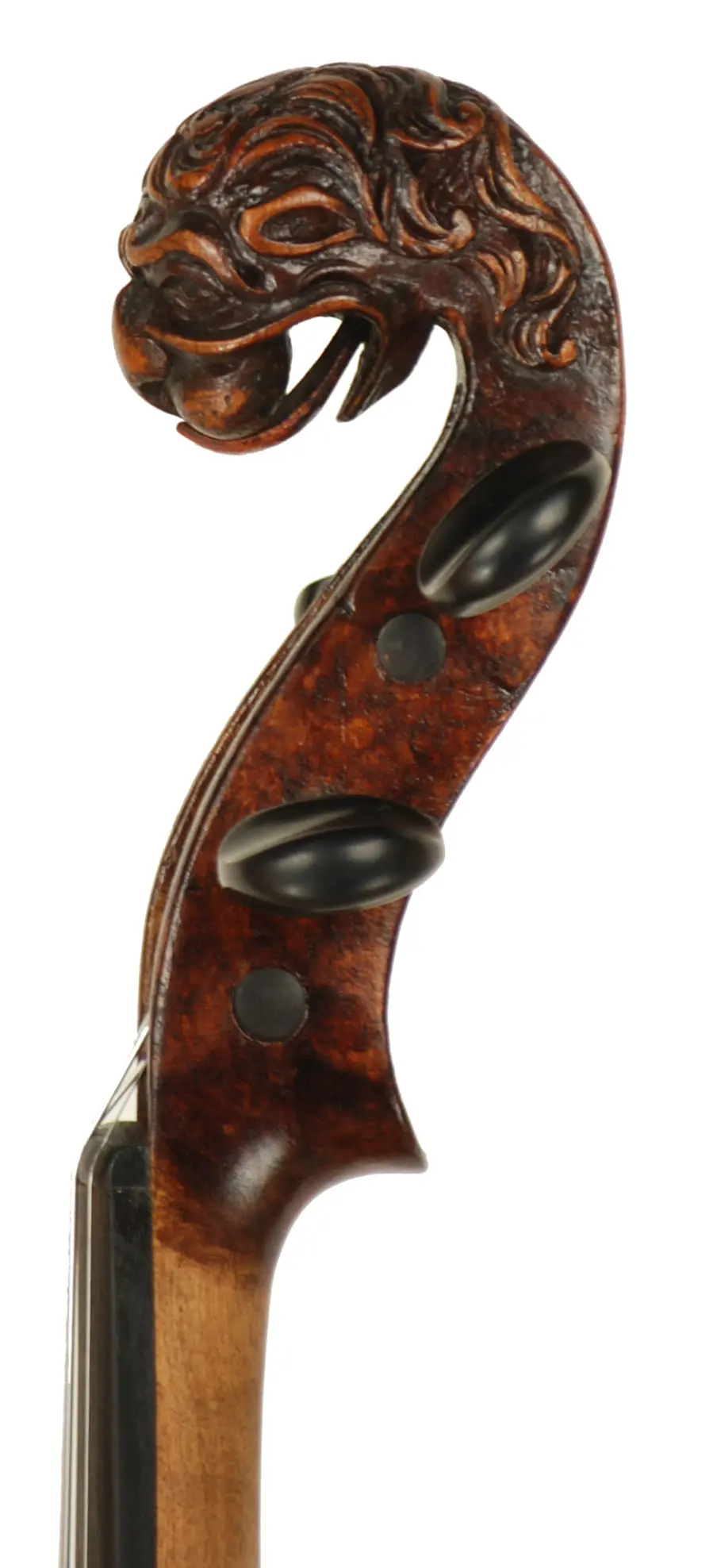 violin with lion head scroll - What is the scroll on a cello
