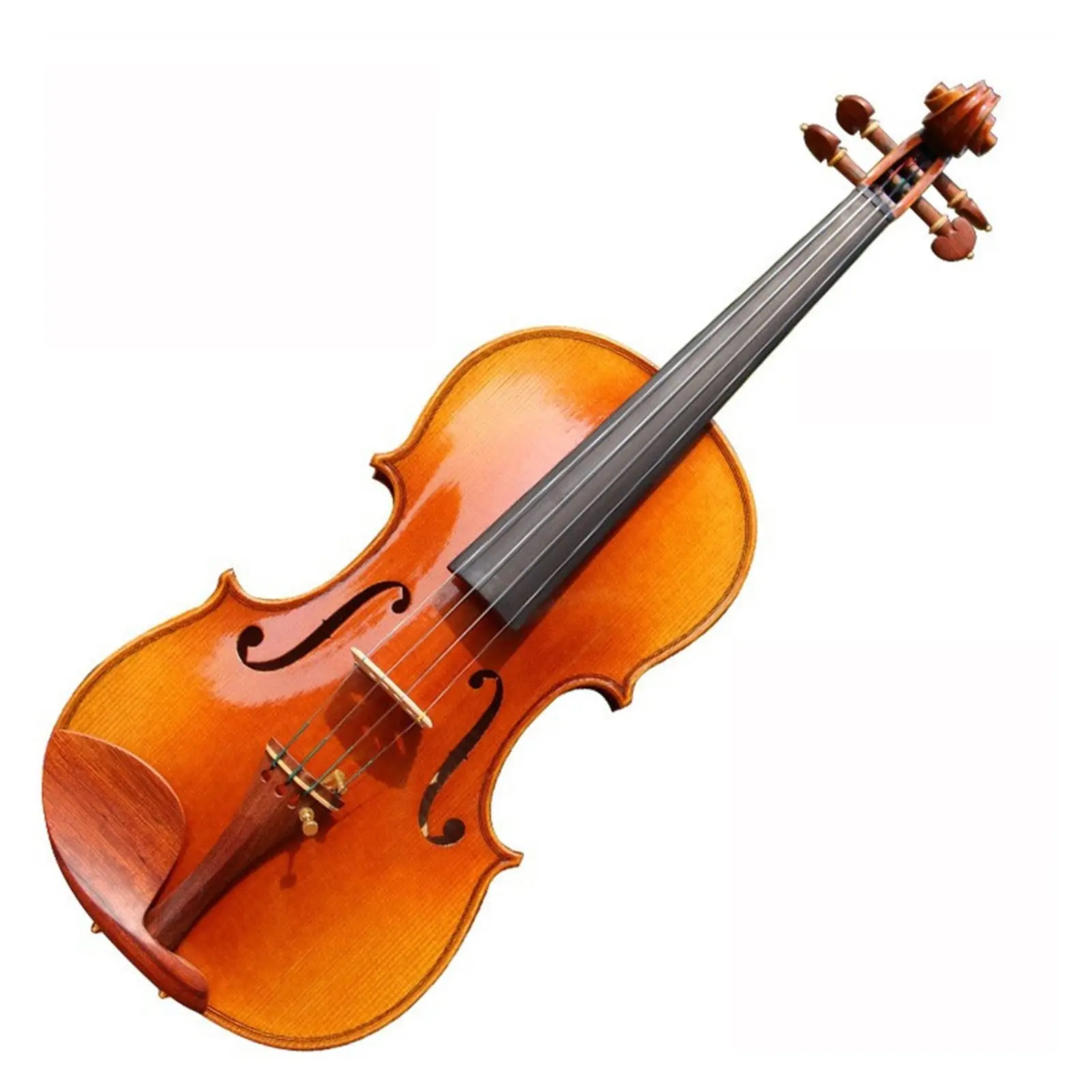 maple violines de - What kind of maple is used for violins