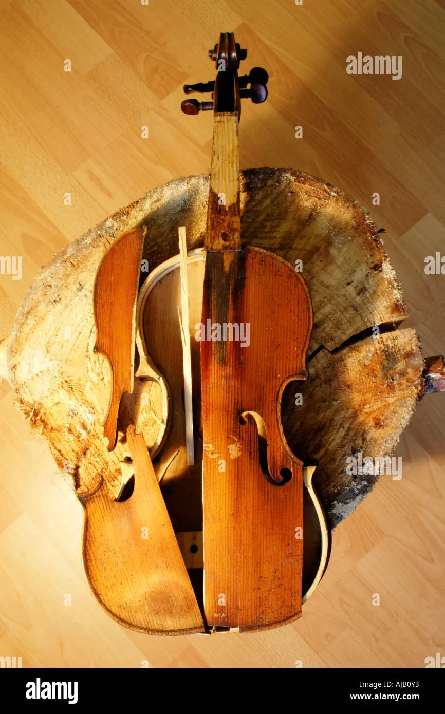 broken violin image - Why did violin string break