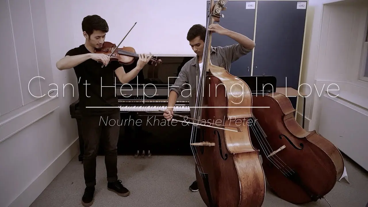 El dueto de violín y bajo: una combinación armoniosa - Why is a bass violin called a double bass violin and bass duet - Why is a bass violin called a double bass